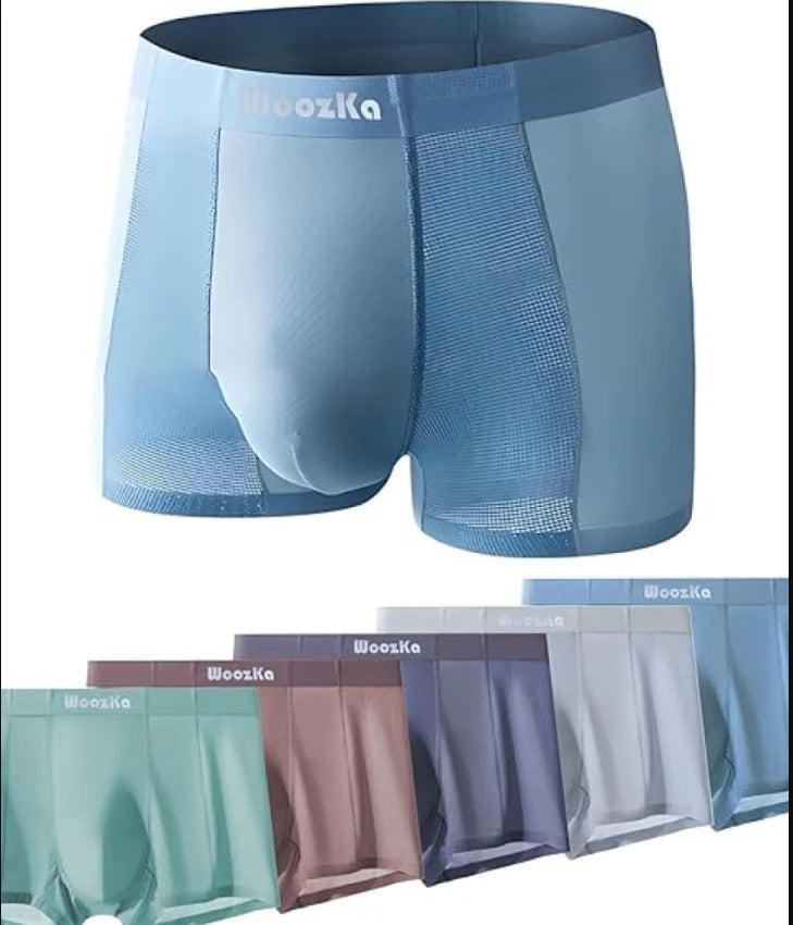 Men's Ice Silk Briefs Boxers  (Pack of 5)(random colour)