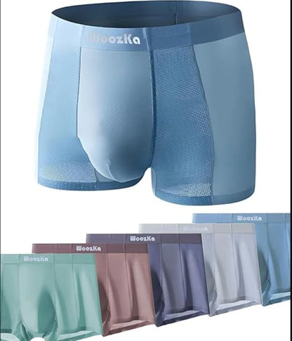 Men's Ice Silk Briefs Boxers  (Pack of 5)(random colour)