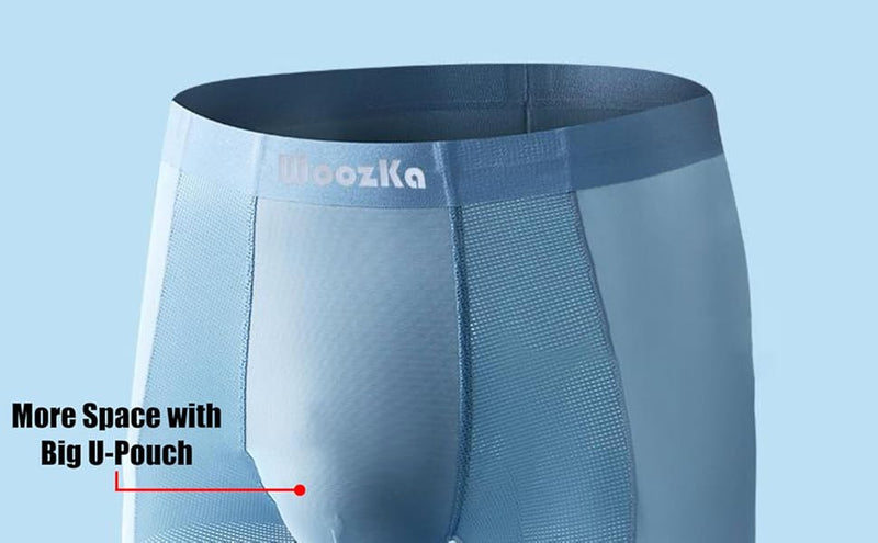 Men's Ice Silk Briefs Boxers  (Pack of 5)(random colour)