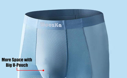 Men's Ice Silk Briefs Boxers  (Pack of 5)(random colour)